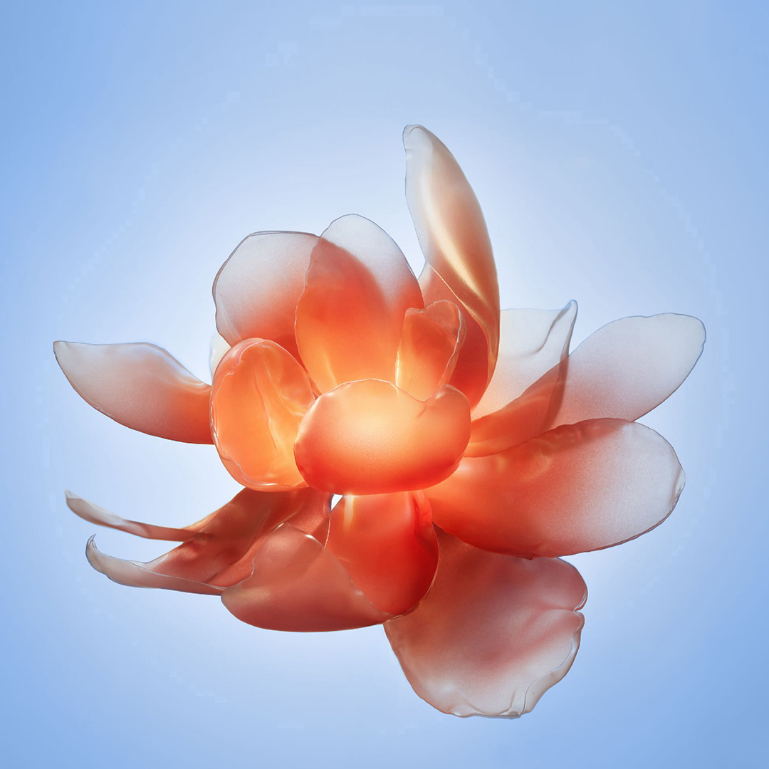 壁纸 02